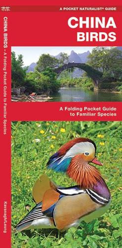 Бумажная книга «China Birds: A Folding Pocket Guide to Familiar Species», авторов Джеймс Кавана, Waterford Press - фото №1