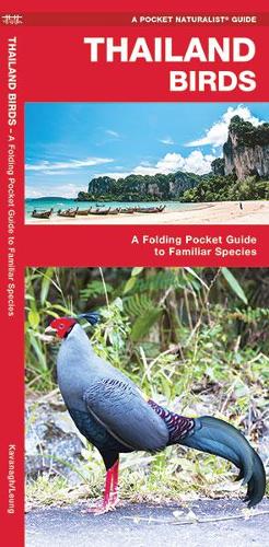 Бумажная книга «Thailand Birds: A Folding Pocket Guide to Familiar Species», авторов Джеймс Кавана, Waterford Press - фото №1