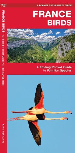 Бумажная книга «France Birds: A Folding Pocket Guide to Familiar Species», автор Джеймс Кавана - фото №1
