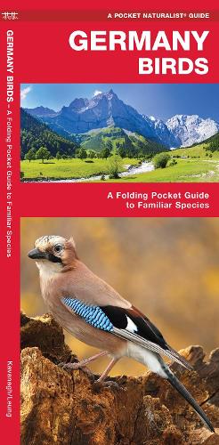 Бумажная книга «Germany Birds: A Folding Pocket Guide to Familiar Species», автор Джеймс Кавана - фото №1