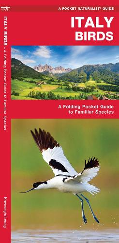 Бумажная книга «Italy Birds: A Folding Pocket Guide to Familiar Species», автор Джеймс Кавана - фото №1
