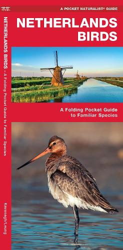 Бумажная книга «Netherlands Birds: A Folding Pocket Guide to Familiar Species», автор Джеймс Кавана - фото №1