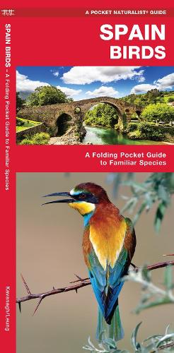 Бумажная книга «Spain Birds: A Folding Pocket Guide to Familiar Species», автор Джеймс Кавана - фото №1