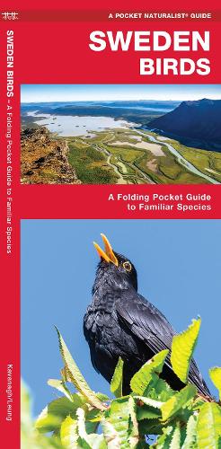 Бумажная книга «Sweden Birds: A Folding Pocket Guide to Familiar Species», автор Джеймс Кавана - фото №1