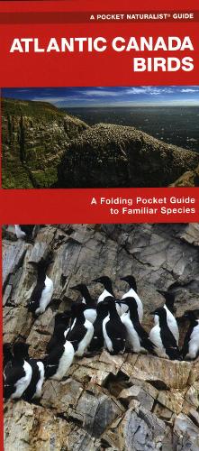 Бумажная книга «Atlantic Canada Birds: A Folding Pocket Guide to Familiar Species», автор Джеймс Кавана - фото №1