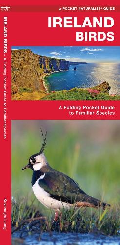 Бумажная книга «Ireland Birds: A Folding Pocket Guide to Familiar Species», автор Джеймс Кавана - фото №1