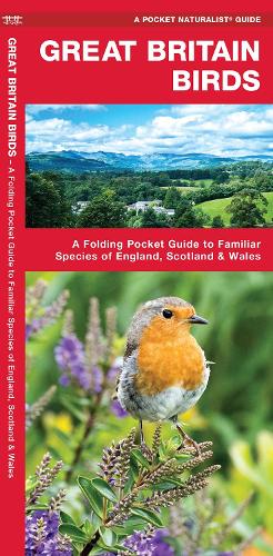 Бумажная книга «Great Britain Birds: A Folding Pocket Guide to Familiar Species of England, Scotland & Wales», автор Джеймс Кавана - фото №1