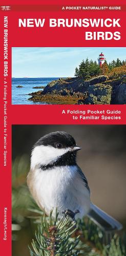 Бумажная книга «New Brunswick Birds: A Folding Pocket Guide to Familiar Species», автор Джеймс Кавана - фото №1