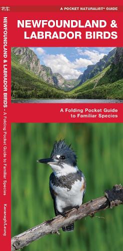 Бумажная книга «Newfoundland & Labrador Birds: A Folding Pocket Guide to Familiar Species», автор Джеймс Кавана - фото №1