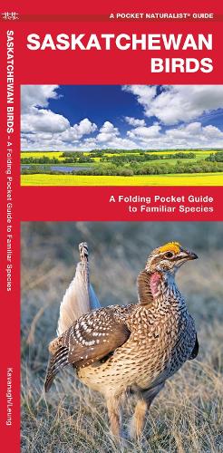 Бумажная книга «Saskatchewan Birds: A Folding Pocket Guide to Familiar Species», автор Джеймс Кавана - фото №1