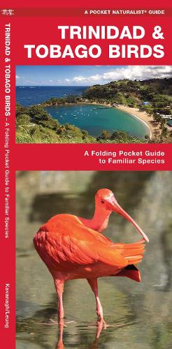 Бумажная книга «Trinidad & Tobago Birds: A Folding Pocket Guide to Familiar Species», автор Джеймс Кавана - фото №1