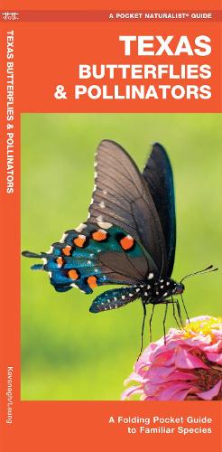 Бумажная книга «Texas Butterflies & Pollinators: A Folding Pocket Guide to Familiar Species», автор Джеймс Кавана - фото №1