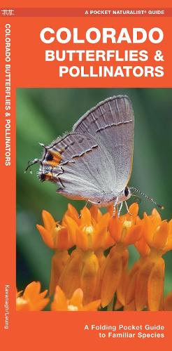 Бумажная книга «Colorado Butterflies & Pollinators: A Folding Pocket Guide to Familiar Species», автор Джеймс Кавана - фото №1