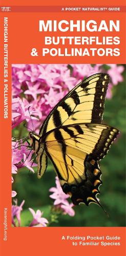 Бумажная книга «Michigan Butterflies & Pollinators: A Folding Pocket Guide to Familiar Species», автор Джеймс Кавана - фото №1