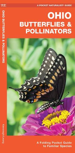 Бумажная книга «Ohio Butterflies & Pollinators: A Folding Pocket Guide to Familiar Species», автор Джеймс Кавана - фото №1