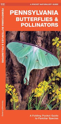 Бумажная книга «Pennsylvania Butterflies & Pollinators: A Folding Pocket Guide to Familiar Species», автор Джеймс Кавана - фото №1