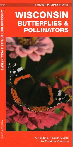 Бумажная книга «Wisconsin Butterflies & Pollinators: A Folding Pocket Guide to Familiar Species», автор Джеймс Кавана - фото №1