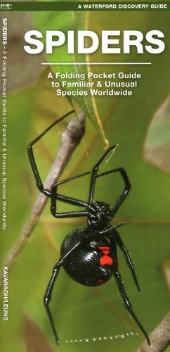 Бумажная книга «Spiders: A Folding Pocket Guide to Familiar Species Worldwide», автор Джеймс Кавана - фото №1