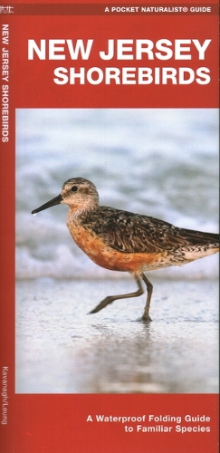 Бумажная книга «New Jersey Shorebirds: A Waterproof Folding Guide to Familiar Species», автор Джеймс Кавана - фото №1