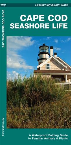 Бумажная книга «Cape Cod Seashore Life: A Waterproof Folding Guide to Familiar Animals & Plants», автор Джеймс Кавана - фото №1