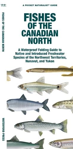 Паперова книга «Fishes of the Canadian North: A Waterproof Folding Guide to Native and Introduced Freshwater Species of the Northwest Territories, Nunavut and Yukon», автор Метью Морріс - фото №1
