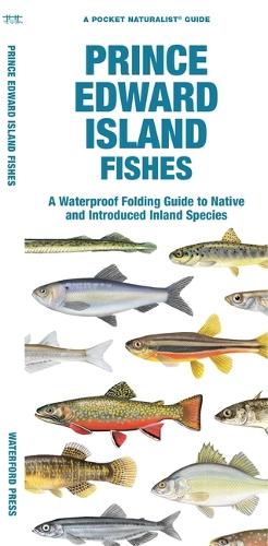 Бумажная книга «Prince Edward Island Fishes: A Waterproof Folding Guide to Native and Introduced Freshwater Species», автор Мэтью Моррис - фото №1