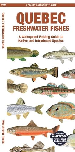Бумажная книга «Quebec Freshwater Fishes: A Waterproof Folding Guide to Native and Introduced Species», автор Мэтью Моррис - фото №1