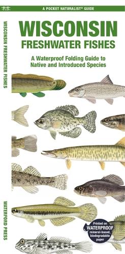 Бумажная книга «Wisconsin Freshwater Fishes: A Waterproof Folding Guide to Native and Introduced Species», автор Мэтью Моррис - фото №1