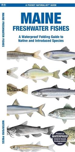 Бумажная книга «Maine Freshwater Fishes: A Waterproof Folding Guide to Native and Introduced Species», автор Мэтью Моррис - фото №1