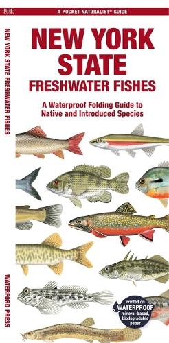 Паперова книга «New York State Freshwater Fishes: A Waterproof Folding Guide to Native and Introduced Species», автор Метью Морріс - фото №1