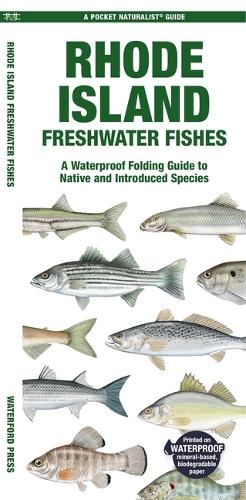 Паперова книга «Rhode Island Freshwater Fishes: A Waterproof Folding Guide to Native and Introduced Species», автор Метью Морріс - фото №1