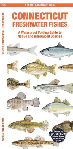 Бумажная книга «Connecticut Freshwater Fishes: A Waterproof Folding Guide to Native and Introduced Species», автор Мэтью Моррис - фото №1