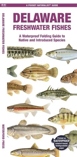 Бумажная книга «Delaware Freshwater Fishes: A Waterproof Folding Guide to Native and Introduced Species», автор Мэтью Моррис - фото №1
