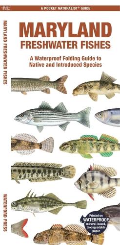 Бумажная книга «Maryland Freshwater Fishes: A Waterproof Folding Guide to Native and Introduced Species», автор Мэтью Моррис - фото №1