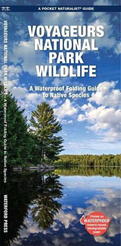 Бумажная книга «Voyageurs National Park Wildlife: A Waterproof Folding Pocket Guide to Native Species», автор Джил Кавана - фото №1