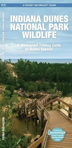 Бумажная книга «Indiana Dunes National Park Wildlife: A Waterproof Folding Guide to Native Species», автор Джил Кавана - фото №1