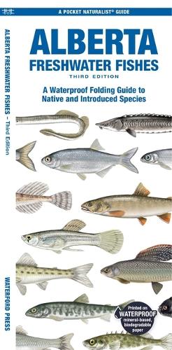 Бумажная книга «Alberta Freshwater Fishes: A Waterproof Folding Guide to All Known Native and Introduced Species», авторов Мэтью Моррис, Шон Роджерс - фото №1