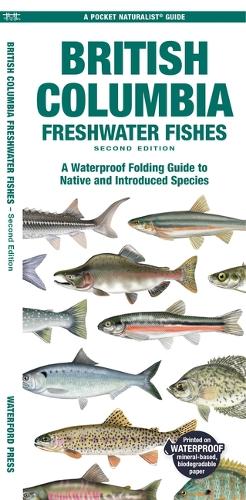 Бумажная книга «British Columbia Freshwater Fishes: A Waterproof Folding Guide to Native and Introduced Species», автор Мэтью Моррис - фото №1