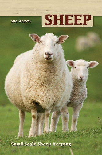 Паперова книга «Sheep: Small Scale Sheep Keeping», автор Сью Вівер - фото №1