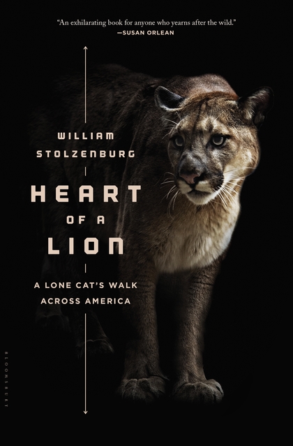 Бумажная книга «Heart of a Lion» - фото №1