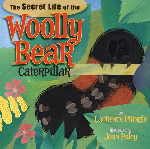 Бумажная книга «The Secret Life of the Woolly Bear Caterpillar», автор Лоуренс Прингл - фото №1