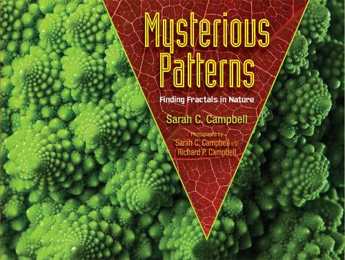 Паперова книга «Mysterious Patterns: Finding Fractals in Nature», автор Сара Кемпбелл - фото №1