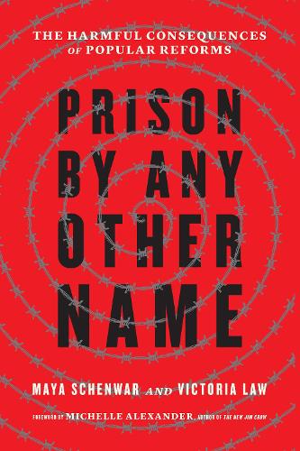 Паперова книга «Prison by Any Other Name: The Harmful Consequences of Popular Reforms», авторів Майя Шенвар, Вікторія Лоу - фото №1