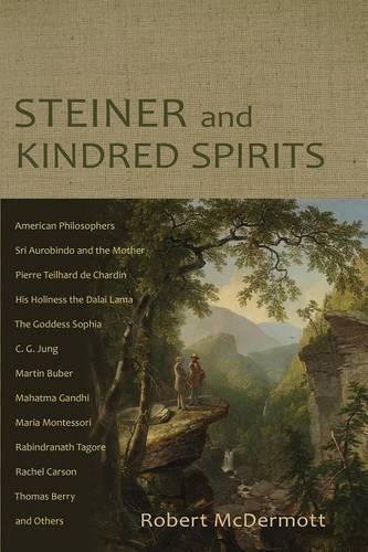 Бумажная книга «Steiner and Kindred Spirits», автор Роберт А. Макдермотт - фото №1