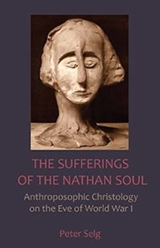 Бумажная книга «The Sufferings of the Nathan Soul», автор Петер Зельг - фото №1