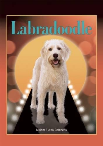 Бумажная книга «Labradoodle», автор Мириам Филдс-Бабино - фото №1