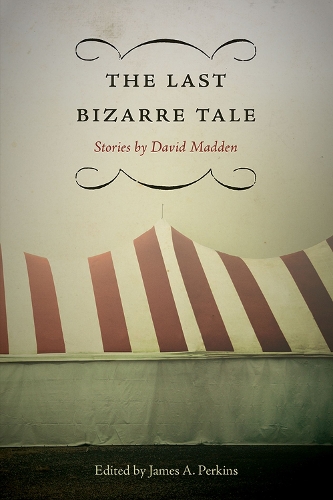 Паперова книга «The Last Bizarre Tale: Stories by David Madden», автор Девід Медден - фото №1