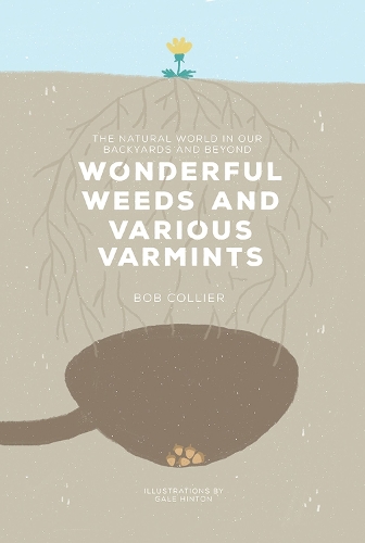 Бумажная книга «Wonderful Weeds and Various Varmints: The Natural World in Our Backyards and Beyond», автор Боб Кольер - фото №1