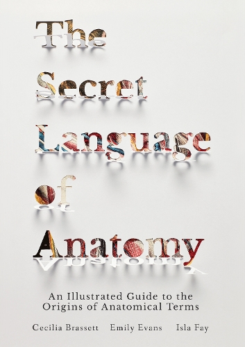 Паперова книга «The Secret Language of Anatomy: An Illustrated Guide to the Origins of Anatomical Terms», авторів Сесілія Брассетт, Емілі Еванс - фото №1