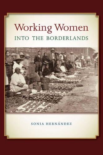Бумажная книга «Working Women into the Borderlands», автор Соня Эрнандес - фото №1